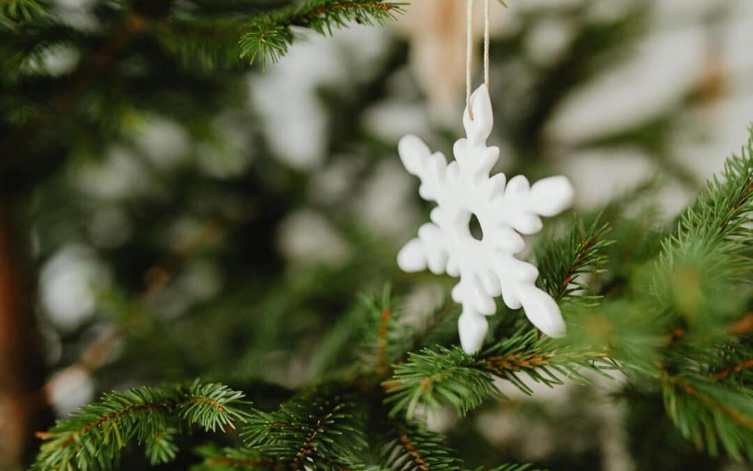 Gros plan sur une branche de sapin de Noël vert foncé avec un flocon de neige blanc suspendu, évoquant la fraîcheur et la magie hivernale.