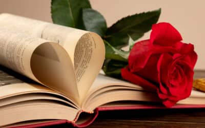 🌹 Les Roses Saint-Valentin : Le Guide Ultime des Couleurs, des Nombres et de la Symbolique Amoureuse